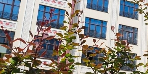 2-комн квартира Поварская улица, 8/1к1