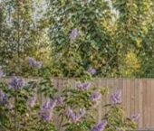 Продать Земельные участки, земля Павловск, Негород Павловск кп   