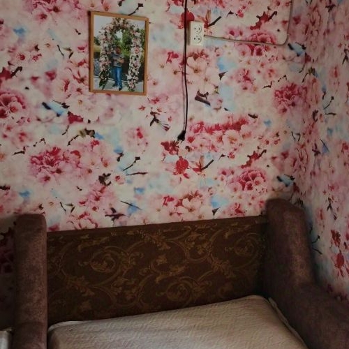 Коттедж/дом Луга, Красноармейская улица, 14