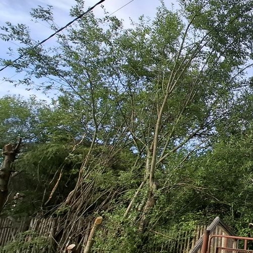 Коттедж/дом Русский дизель потребительский кооператив садоводов, 2-я линия, 34