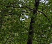 Продать Квартиры вторичка улица Габричевского, 6К2   