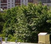 Продать Квартиры вторичка улица Пречистенка, 25   