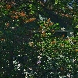 Продажа земли пос. Пески, улица Центральная