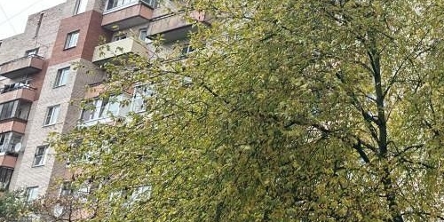 1-комн квартира улица Чекистов, 38