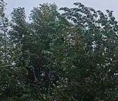 Продать Квартиры вторичка Электросталь, улица Корнеева  2 