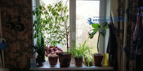 1-комн квартира проспект Мечникова,  д. 9