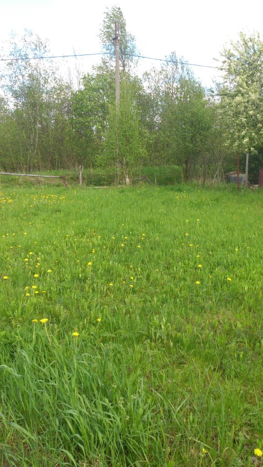 Продажа земли Посадников остров садоводческий массив, Большевичка СНТ, 21-я линия, 181