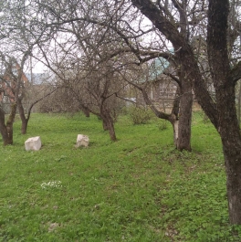 Продажа дома Горбово п, Спортивная ул,  д. 2