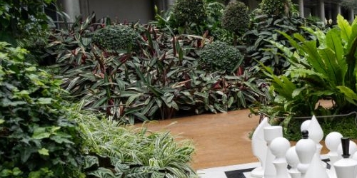 4-комн квартира Константиновский проспект, 23