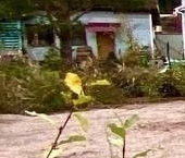 Продать Земельные участки, земля пос. Лейпясуо, Буревестник СНТ, 136   