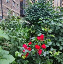 Продажа 2-комн квартиры на вторичном рынке улица Валерия Гаврилина,  д. 5