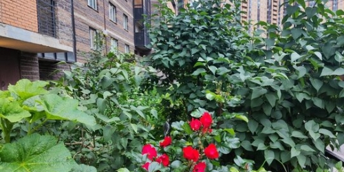 2-комн квартира улица Валерия Гаврилина,  д. 5