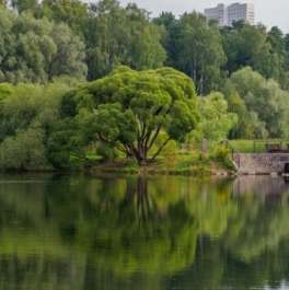Продажа 4-комн квартиры на вторичном рынке Щукинская улица,  д. 8