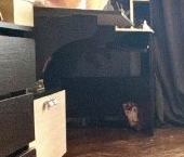 Продать Комнаты в квартирах Автовская улица, 26/37   