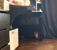 Продажа комнаты в коммуналках Автовская улица, 26/37