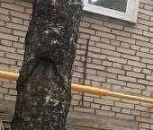 Продать Квартиры вторичка Красногорск, Железнодорожный проезд, 13   