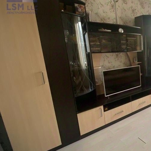 Студия пос. Янино-1, улица Заневская, 11