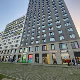 Аренда ПСН Витебский пр-кт,  д. 99 к1