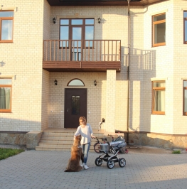 Продажа дома Пушкинский район посёлок Александровская Старо-Красносельская дорога,  д. 13