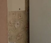 Сдать в аренду Квартиры вторичка Новоселье городской поселок, улица Центральная, 10к2   