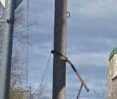 Продать Квартиры вторичка Приозерск, Красноармейская улица, 21   