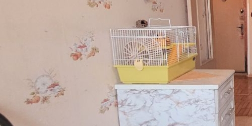 1-комн квартира Федеративный проспект, 26К4