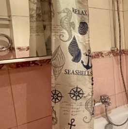 Аренда 1-комн квартиры на вторичном рынке Кронштадт, Владимирская улица, 47