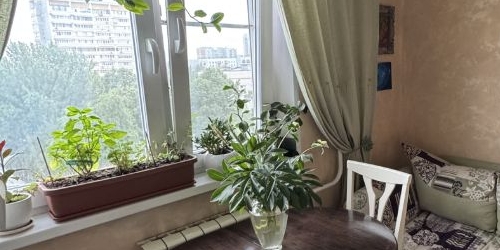 1-комн квартира проезд Черепановых, 38к1