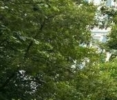 Продать Квартиры вторичка Осенний бульвар, 20К1   