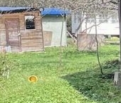 Продать Дачи, коттеджи, загородные дома Яблонька СНТ, 155   