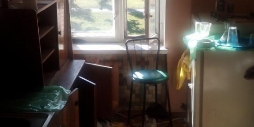 2-комн квартира Пушкин , Петербургское  шоссе 15/2,  д. 15,  к. 2