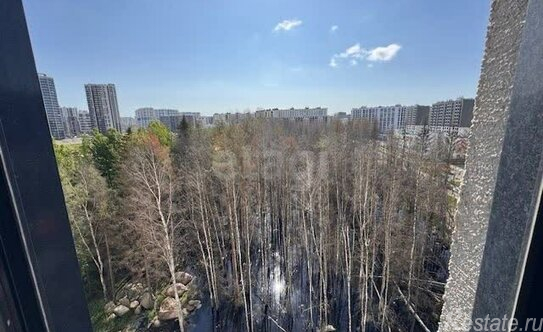 Продажа 1-комн квартиры на вторичном рынке Арцеуловская Аллея,  д. 9