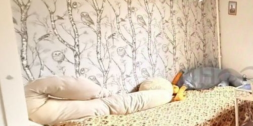 3-комн квартира Малая Калитниковская улица, 47ак1