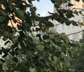 Продать Квартиры вторичка Рублевское шоссе, 127   