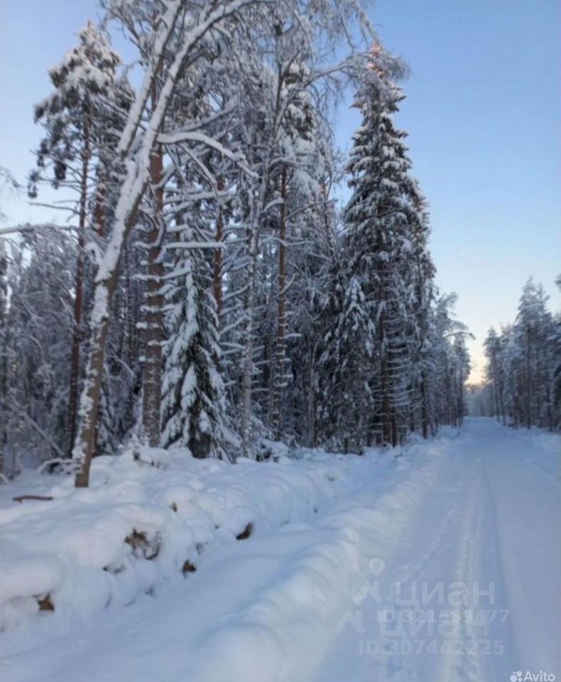 Продажа земли Воякоярви СНТ, 4-я линия