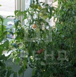 Продажа 3-комн квартиры на вторичном рынке Кондратьевский пр-кт,  д. 85 к1