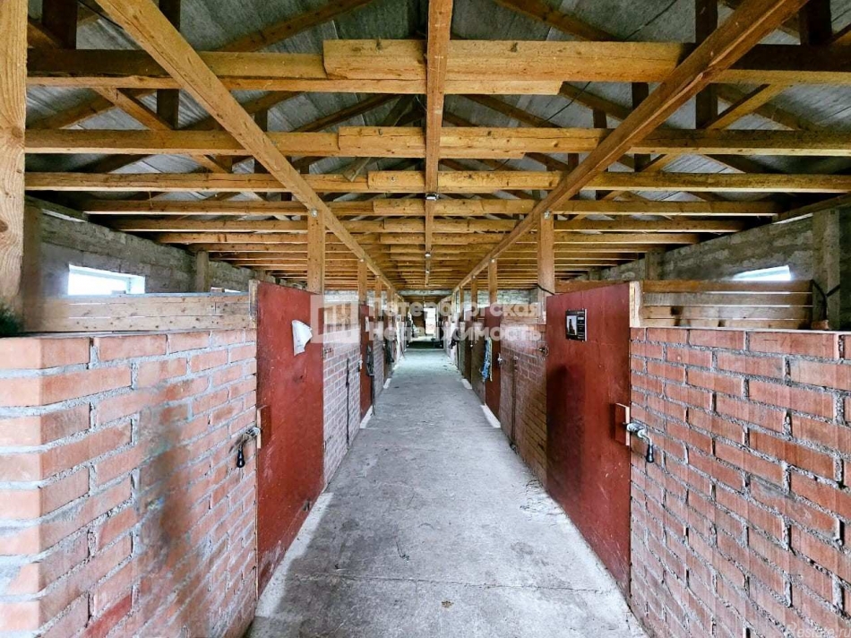 Продажа ПСН деревня Губаницы, деревня Губаницы,