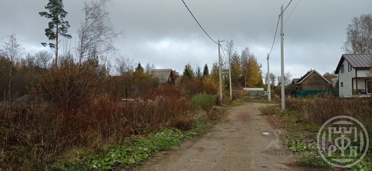 Продажа земли Полесье ДНП, улица Березовая