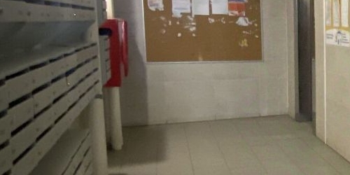 1-комн квартира пос. Шушары, улица Вишерская, 1к1