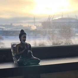 Продажа 2-комн квартиры на вторичном рынке Приморский пр-кт,  д. 54,  к. 2