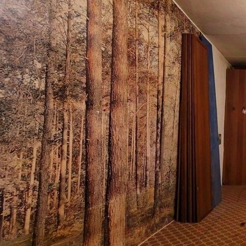 1-комн квартира Отрадное, Советская улица, 10