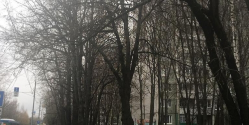 1-комн квартира Череповецкая улица, 9/17