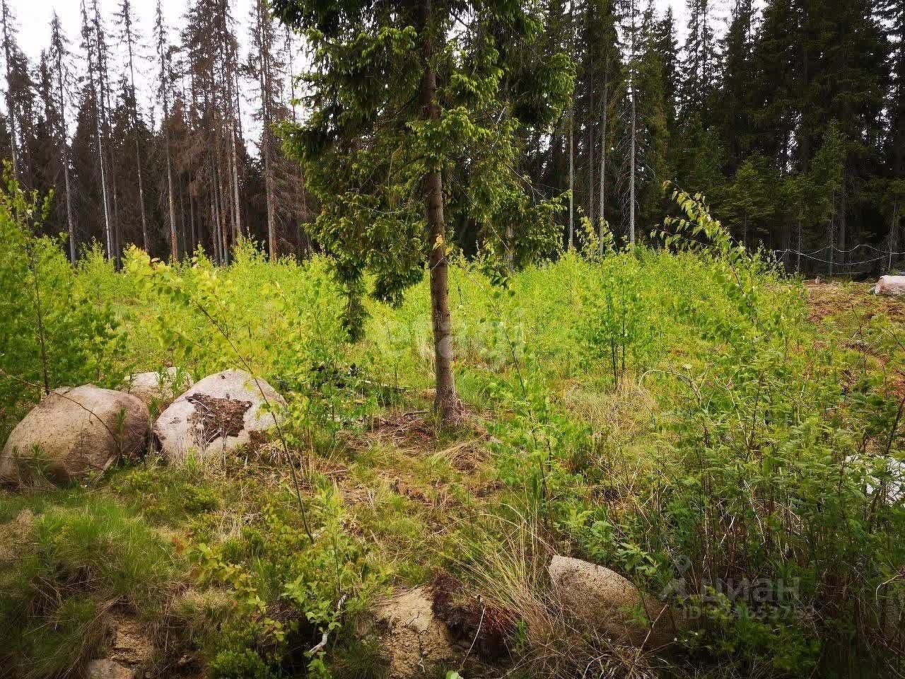 Продажа земли Полянский массив местность, проезд 3-й Камышовый
