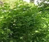 Продать Дачи, коттеджи, загородные дома д. Клинково, улица Центральная, 7   