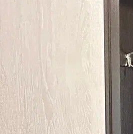 Продажа 2-комн квартиры на вторичном рынке Гражданский проспект, 79К2 Продажа 2-комн квартиры на вторичном рынке Гражданский проспект, 79К2