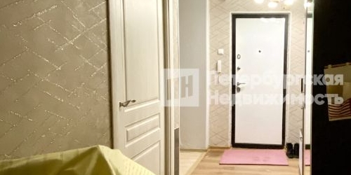 2-комн квартира пос. Шушары, Пушкинская улица, 10