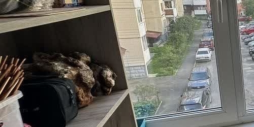 2-комн квартира проспект Народного ополчения, 237