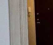 Сдать в аренду Квартиры вторичка набережная Реки Оккервиль, 4к2   