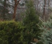 Продать Дачи, коттеджи, загородные дома пос. Солнечное, улица Вокзальная, 5с11   