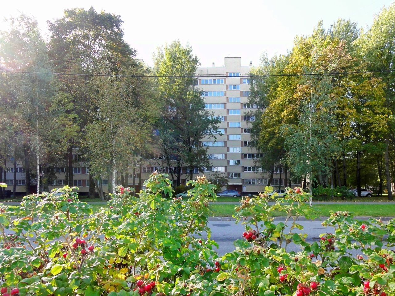 Продажа 3-комн квартиры на вторичном рынке Суздальский проспект, 93К1
